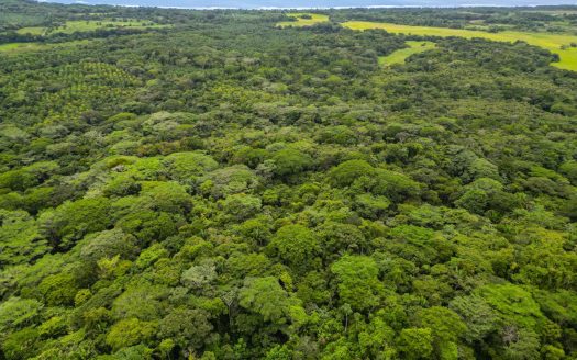 65 Hectares of Land near the Beach of Esterillos – Only 20 minutes from Jaco (Seller Financing)