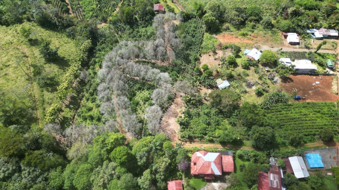 Costa Rica Real Estate