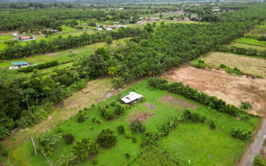 Lush Tropical Garden in Parrita – 20 mins from Quepos