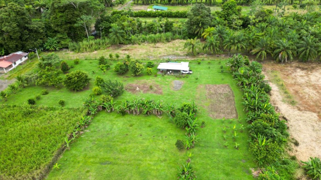 Lush Tropical Garden in Parrita - 20 mins from Quepos