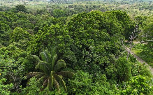 Prime 5,225 m² Lot for Sale – Excellent Location in organized community – pocket ocean view