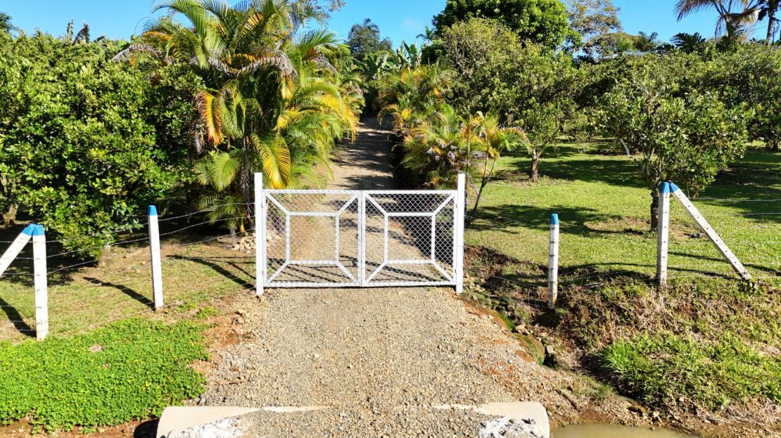 Costa Rica Real Estate