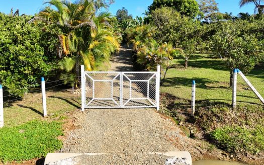 Unlock The Potential Of This Charming Property With Organic Farming Opportunities In San Pedrito De Cajón, Pérez Zeledón