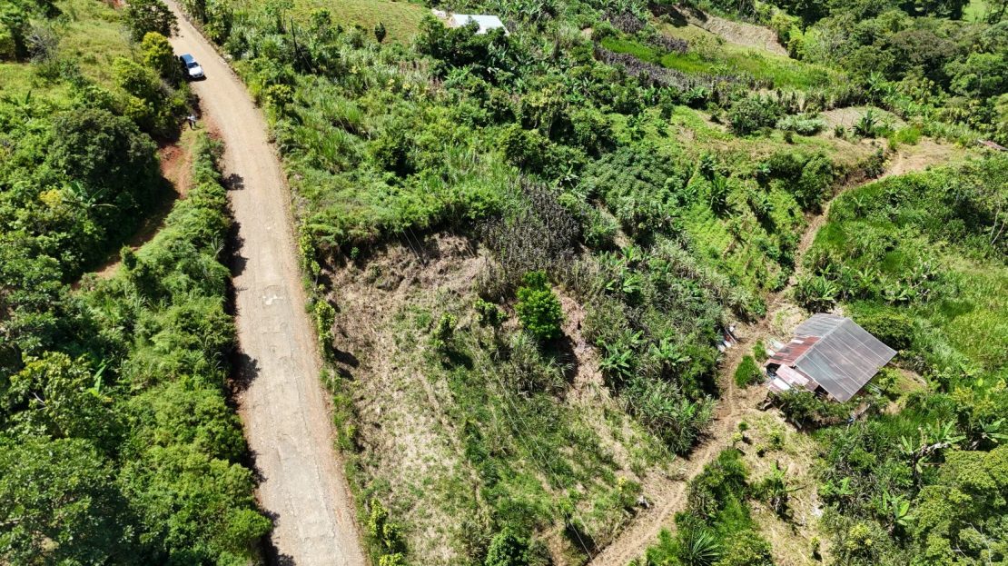 Your Future Sanctuary – Cool