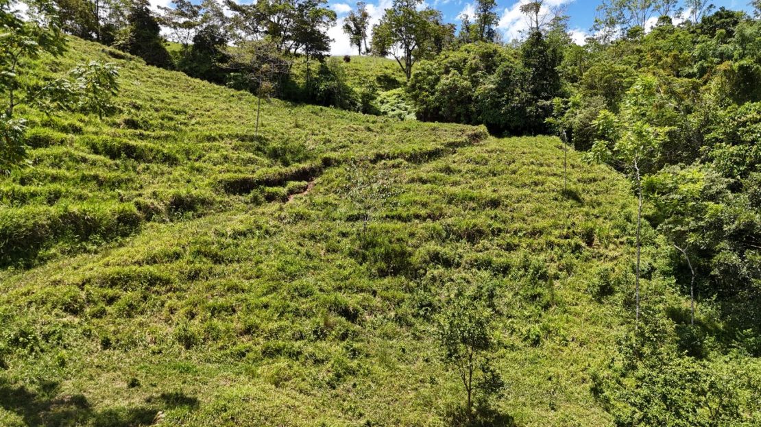 Costa Rica Real Estate