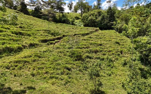 For Sale Scenic 4-Ha Farm For Sale With Creeks And Beautiful Valley Views