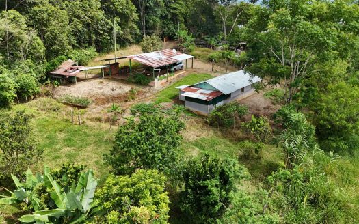 Your Hidden Little Farm – In A 1 Hectare for Sale in Perez Zeledon