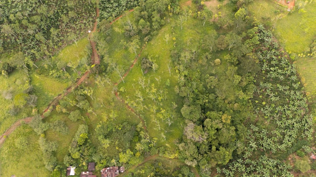 Humble home with 5+ Acres with Springs