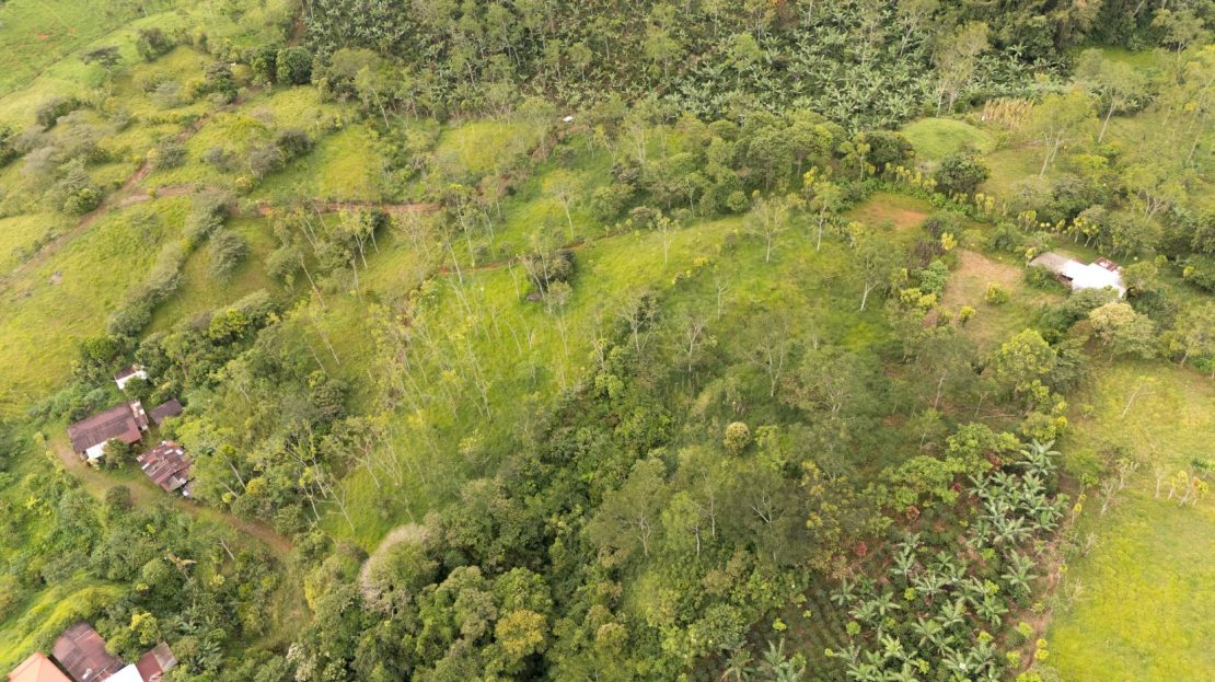 Costa Rica Real Estate