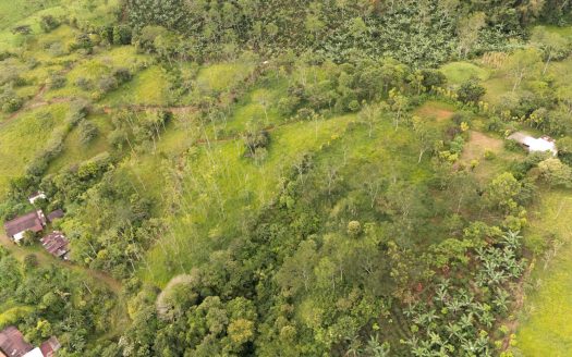 Humble home with 5+ Acres with Springs, Creek & Mountain Views in San Antonio de Rivas, Pérez Zeledón