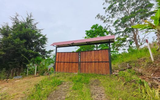 Beautiful Fertile Land and Cabin for sale In San Jeronimo