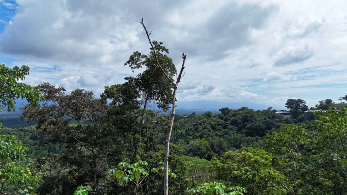 Costa Rica Real Estate