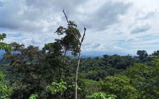 Unbelievable lot for sale in the heart of exclusive Manuel Antonio – quiet area and close amenities, Marina and beaches