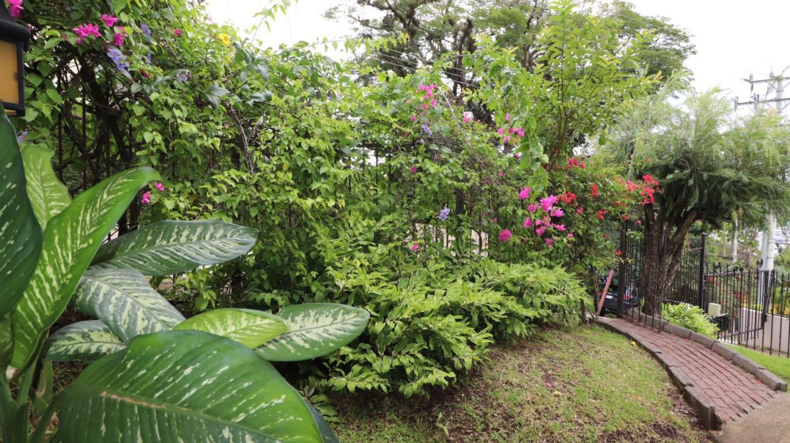 Costa Rica Real Estate