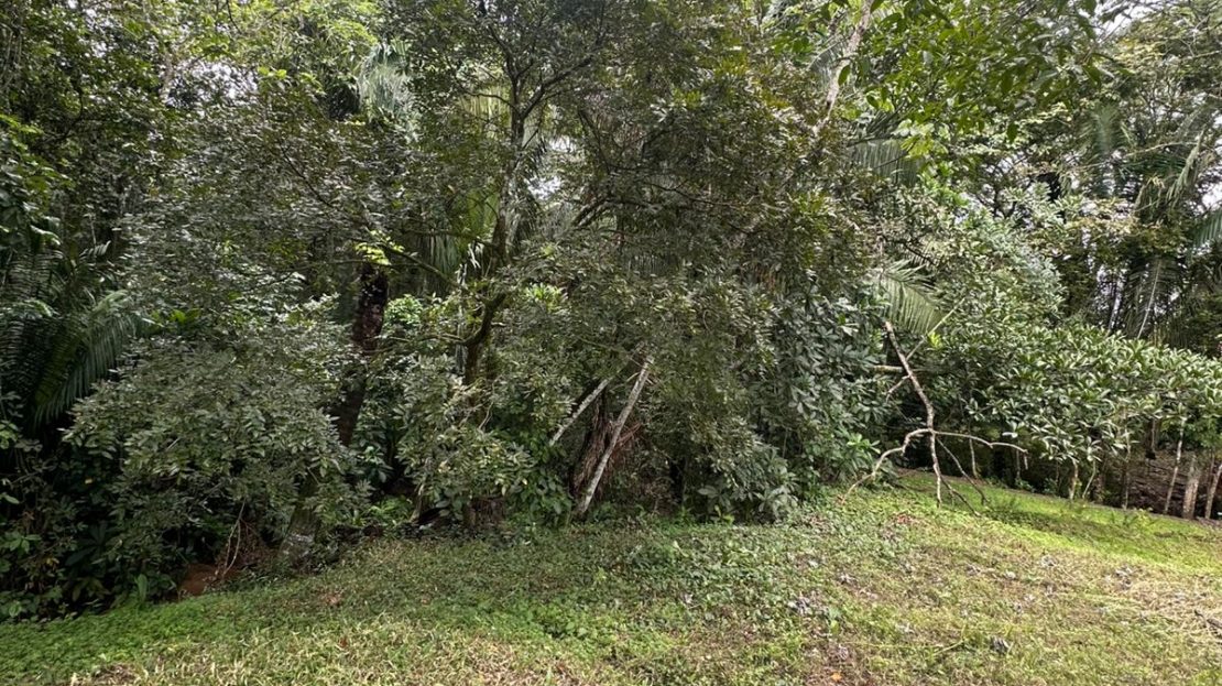 Esparza For Sale 31002 | RE/MAX Costa Rica Real Estate