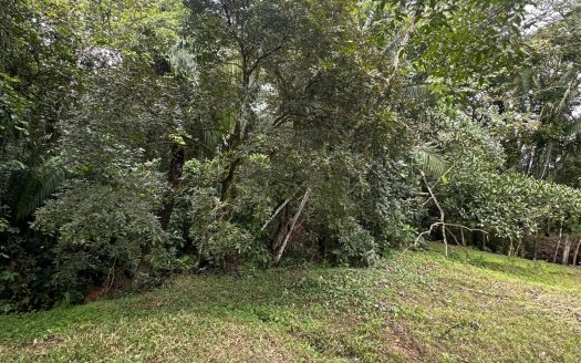 Esparza For Sale 31002 | RE/MAX Costa Rica Real Estate