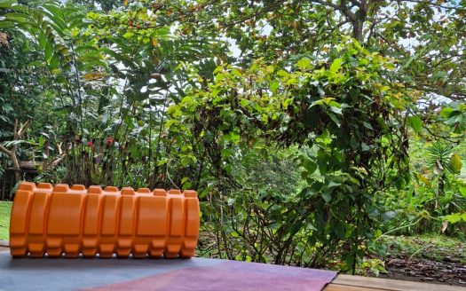 Turnkey Eco-Retreat With River Access and Guest Houses for Sale in Bijagual, Costa Rica