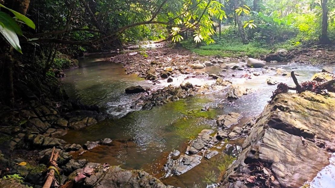 2-Bedroom River and Jungle Home in Ojochal