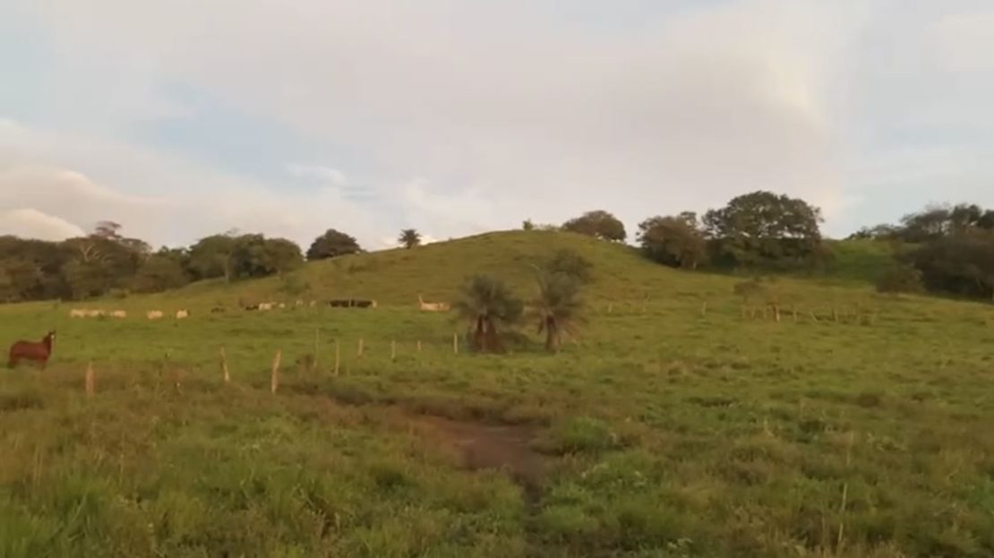 For Sale: 78-Hectare Sustainable Farm in Tilarán