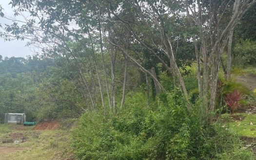 Secure Coastal Sanctuary