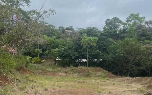 Garabito Central Pacific Costa Rica>Hermosa Beach For Sale 101875 | RE/MAX Costa Rica Real Estate