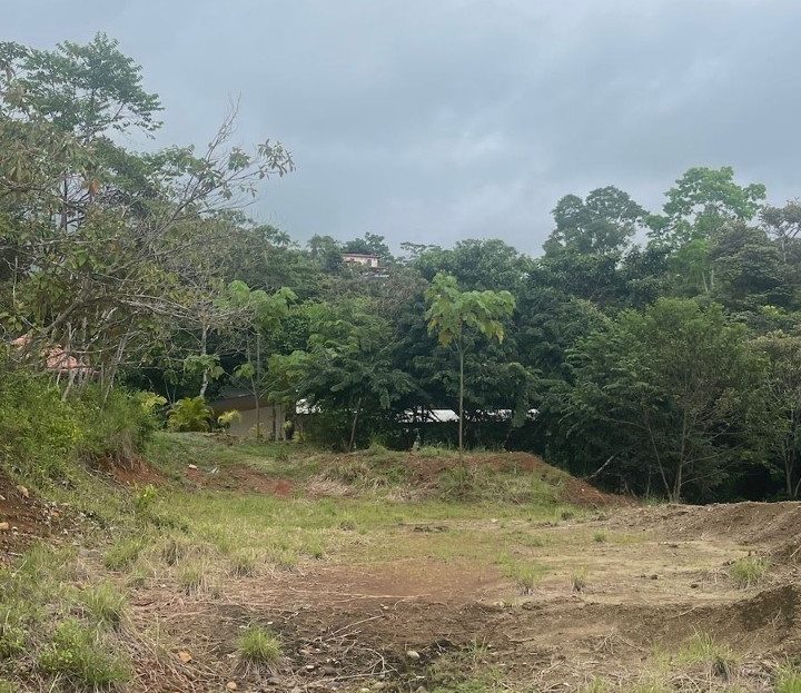 Garabito Central Pacific Costa Rica>Hermosa Beach For Sale 101875 | RE/MAX Costa Rica Real Estate