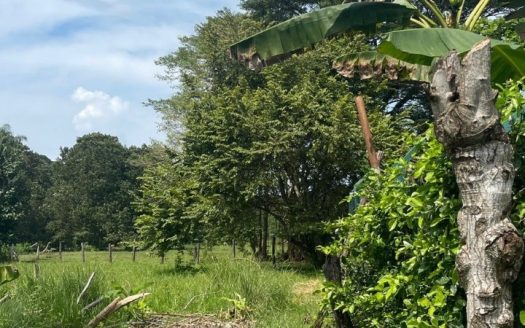 Double Lot Beach Opportunity