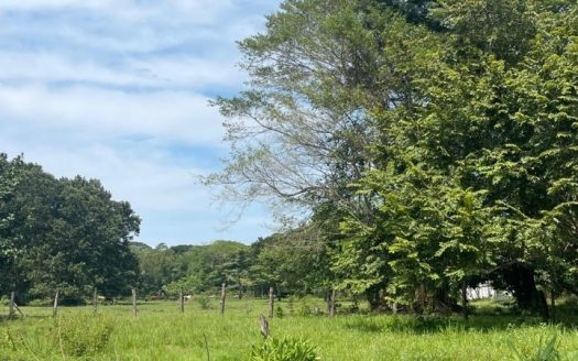 Garabito Central Pacific Costa Rica>Quebrada Ganado>Agujas For Sale 101500 | RE/MAX Costa Rica Real Estate