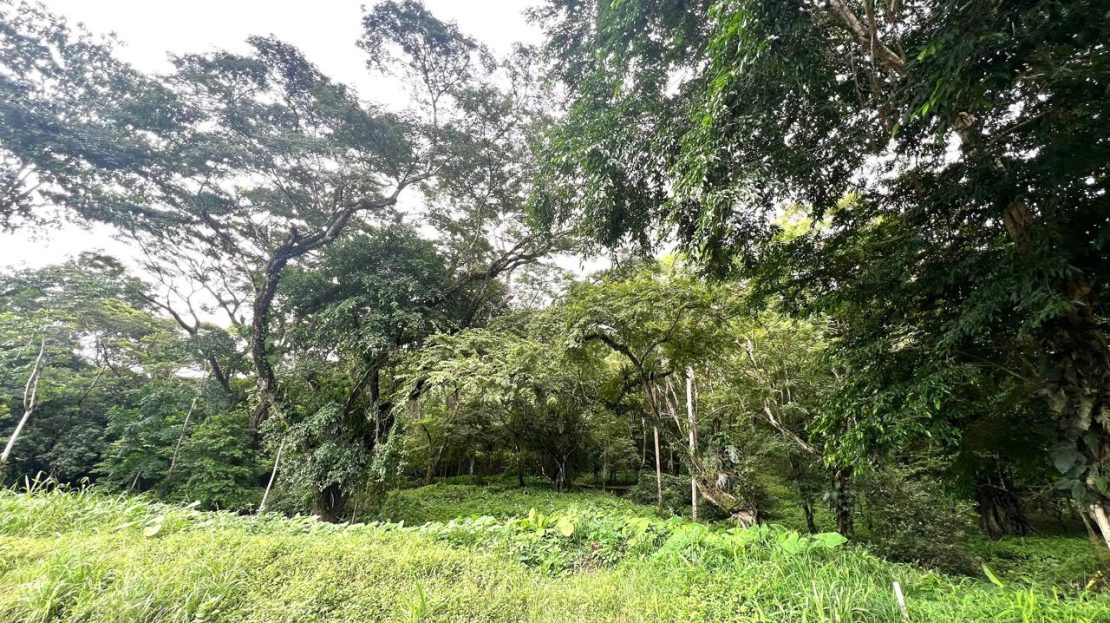 Garabito Central Pacific Costa Rica>Quebrada Ganado>Punta Leona For Sale 83382 | RE/MAX Costa Rica Real Estate