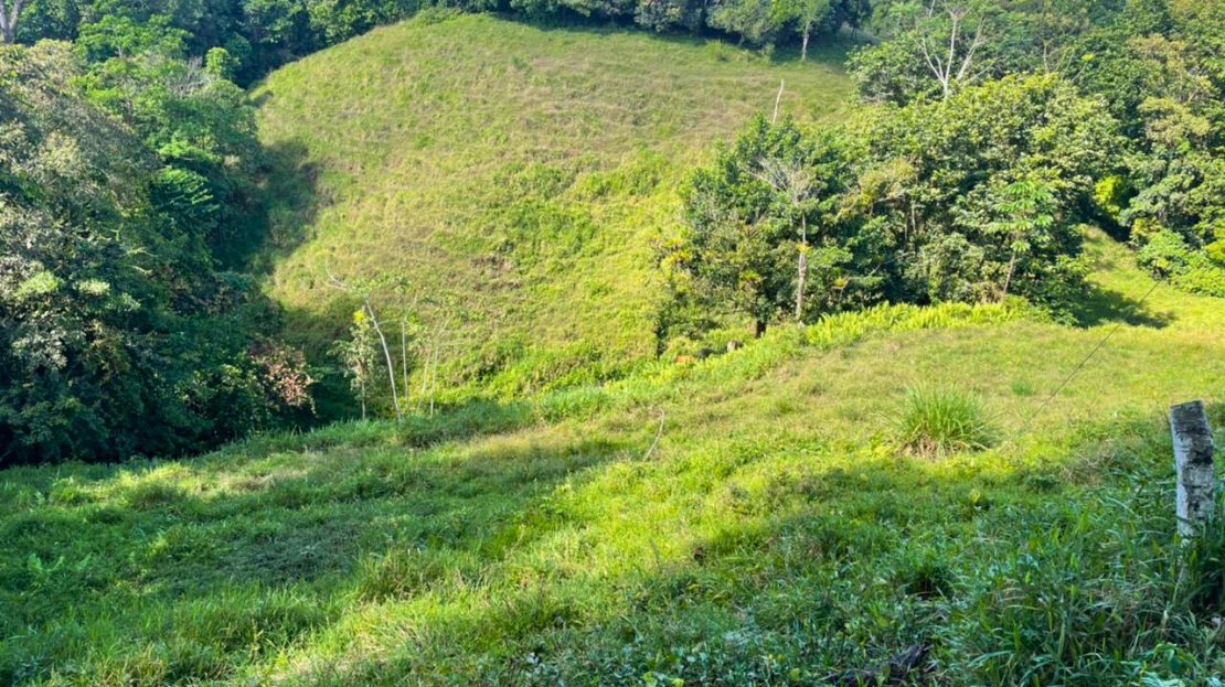 Golfito>Guaycará Real Estate Listings 29320