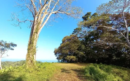 Golfito>Pavones Real Estate Listings 20715