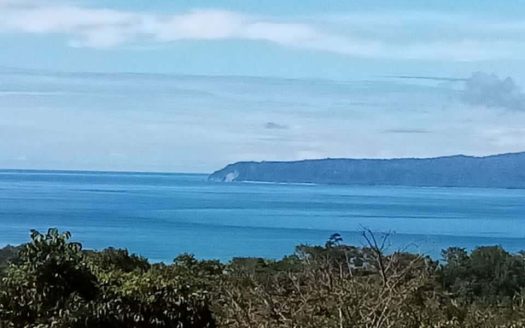 Large Pavones Oceanview Estate or Eco-Lodge Property