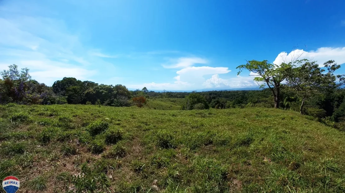 Golfito>Pavones Real Estate Listings 22680