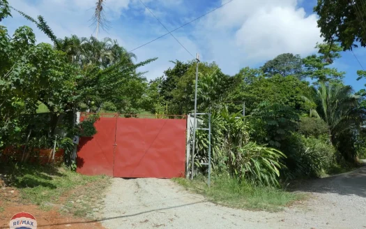 Business Opportunity Ranch