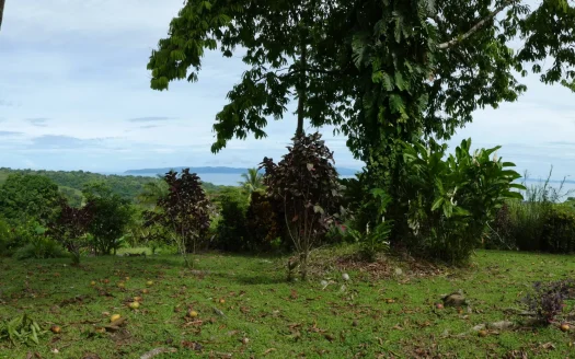 Golfito>Pavones Real Estate Listings 23558