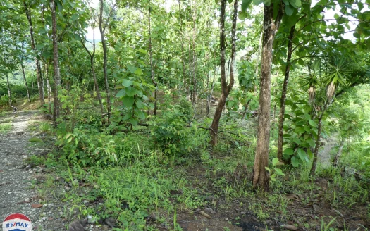 The Magic Corner Lot