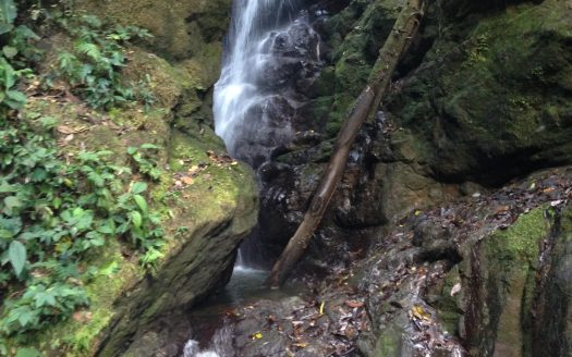 Private Gulfo Dulce Oceanview Ranch in Pavones