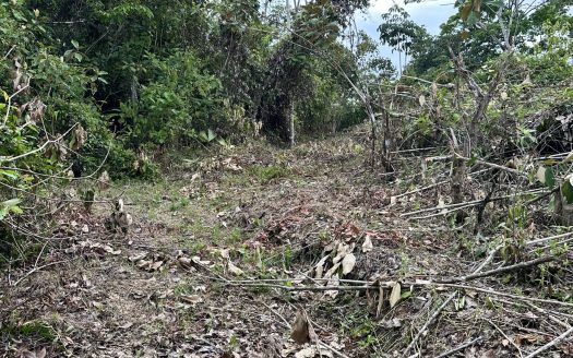 10 Acre Oceanview Pilon Property