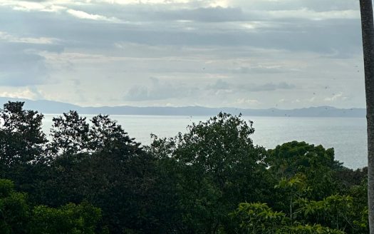 Golfito>Pavones Real Estate Listings 26183