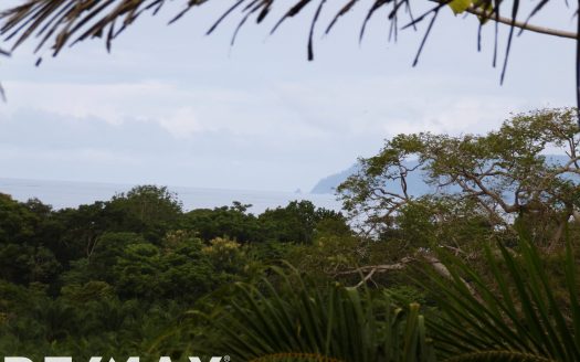 Golfito>Pavones Real Estate Listings 26253