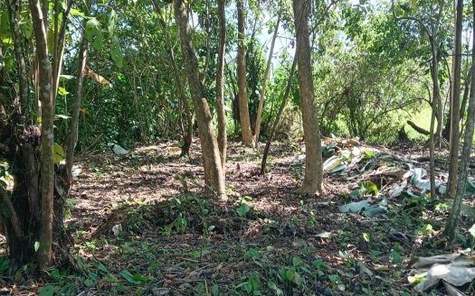 Golfito>Pavones Real Estate Listings 27068