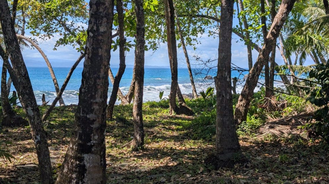 Golfito>Pavones Real Estate Listings 28073