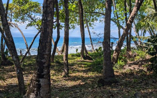 Golfito>Pavones Real Estate Listings 28073