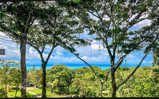 Golfito>Pavones Real Estate Listings 28149