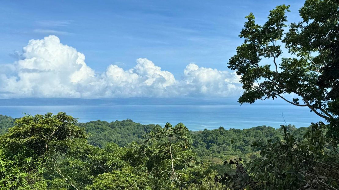 Golfito>Pavones Real Estate Listings 28454