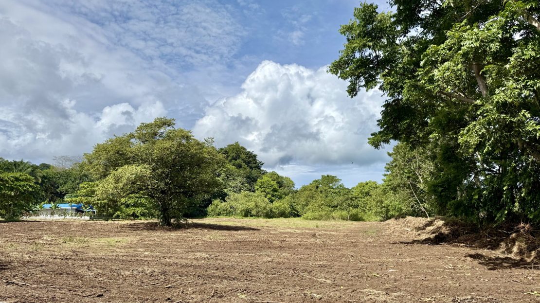 Golfito>Pavones Real Estate Listings 28650