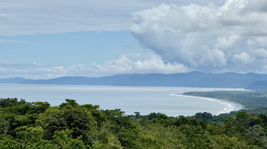 Golfito>Pavones Real Estate Listings 28768