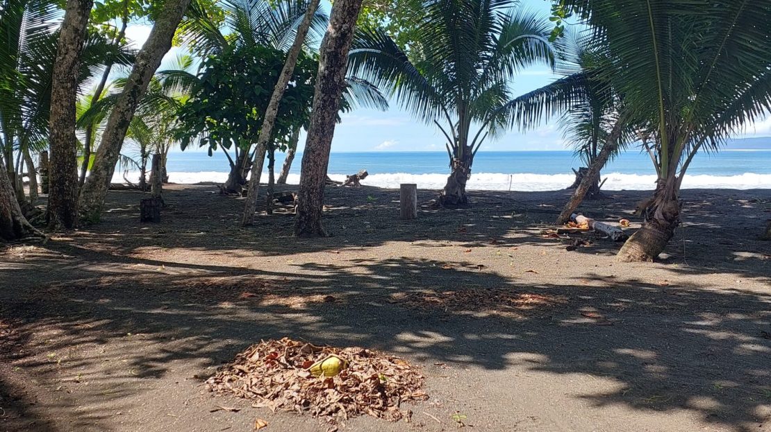 Golfito>Pavones Real Estate Listings 29182