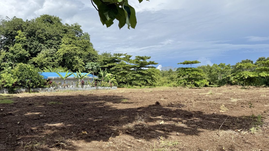 Golfito>Pilón Real Estate Listings 28593