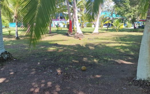 Oceanfront Home, Cabinas and Comercial BeachFront Property